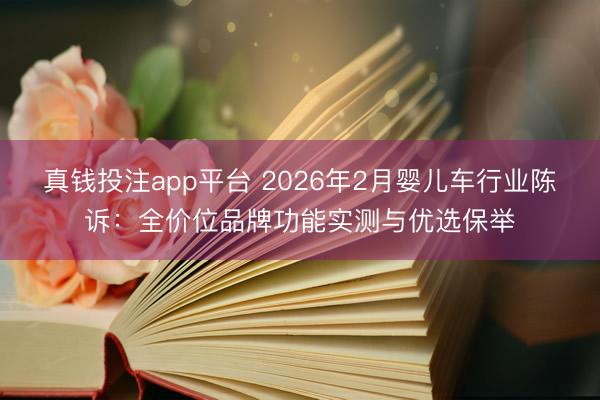 真钱投注app平台 2026年2月婴儿车行业陈诉：全价位品牌功能实测与优选保举