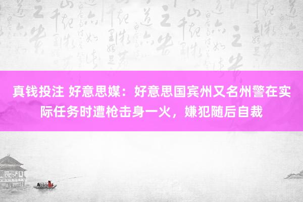 真钱投注 好意思媒：好意思国宾州又名州警在实际任务时遭枪击身一火，嫌犯随后自裁