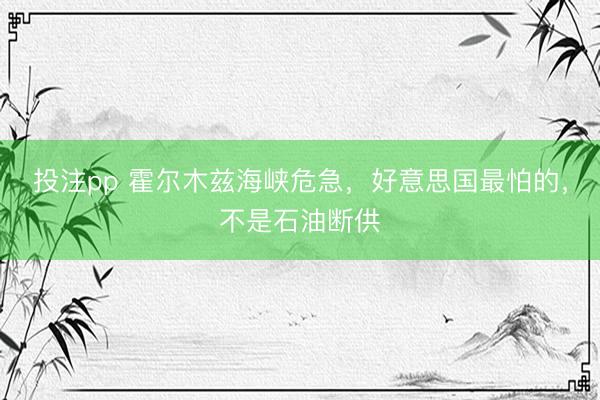 投注pp 霍尔木兹海峡危急，好意思国最怕的，不是石油断供