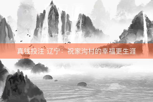 真钱投注 辽宁：祝家沟村的幸福更生涯